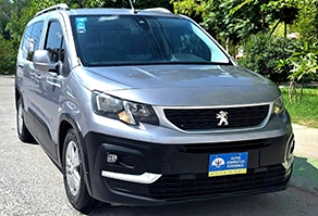 Peugot inicio